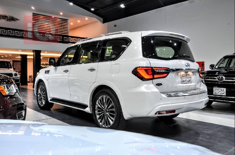 ئينفنتي QX80